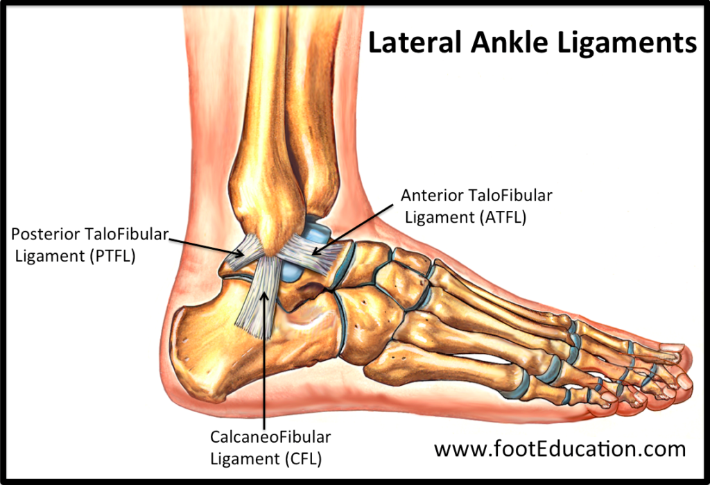 for ankle blog