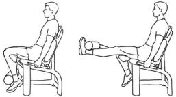 a person sitting on a knee extension exercise machine