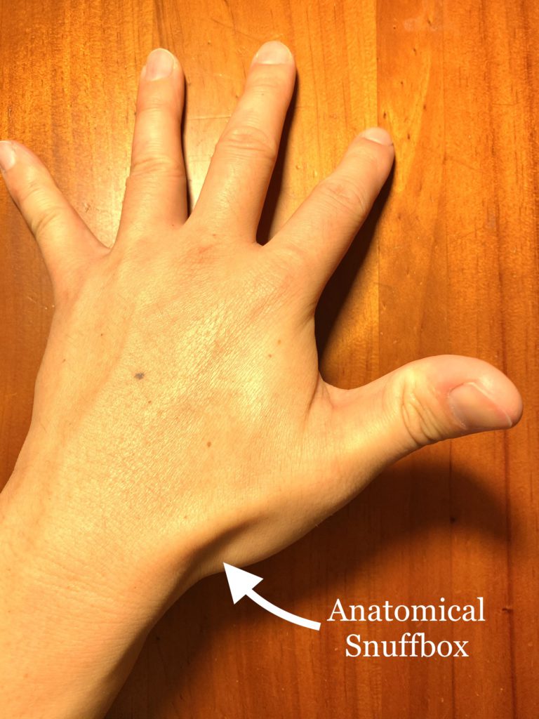 arrow pointing towards the anatomical snuff box